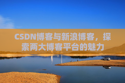 CSDN博客与新浪博客，探索两大博客平台的魅力